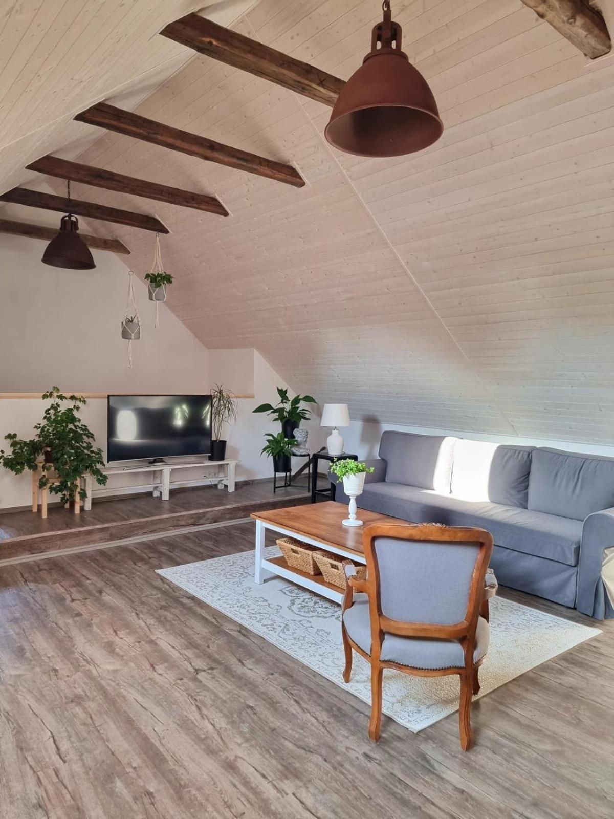 Apartman U Stef Borotice ภายนอก รูปภาพ