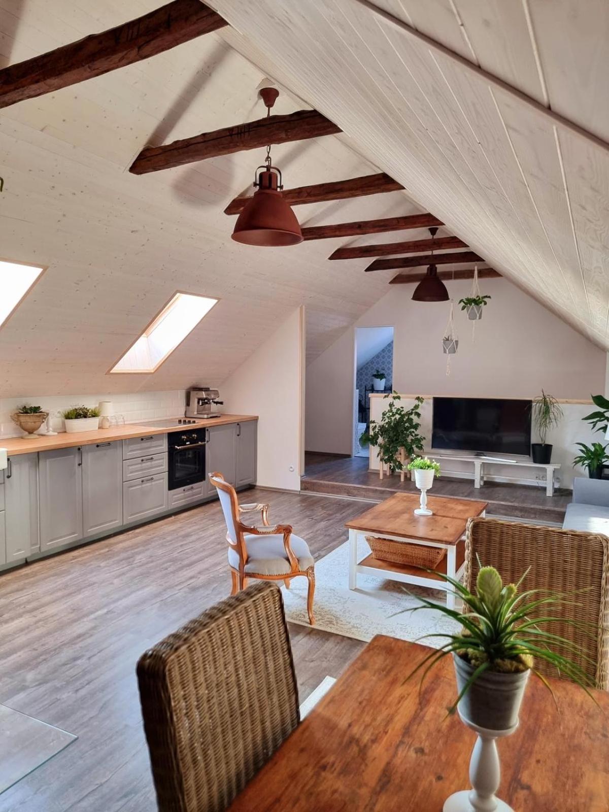 Apartman U Stef Borotice ภายนอก รูปภาพ